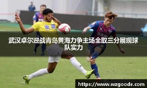 武汉卓尔迎战青岛黄海力争主场全取三分展现球队实力